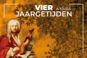 De vier jaargetijden van Vivaldi in Leusden (2 personen)