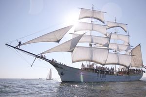 Dagtocht op het IJsselmeer met zeilschip 'Stedemaeght' (2 p.)