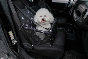 Honden- en kattenreismand voor in de auto