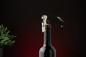 Kit d'ouvre-bouteilles de Berlinger Haus (4 pièces)