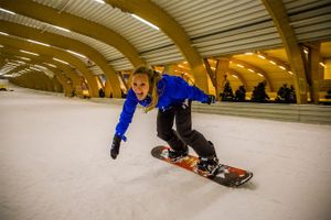 Hele dag skiën of snowboarden bij Ice Mountain (2p.)