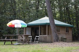 Eine Woche Glamping in Holland oder Belgien (bis 4 P.)