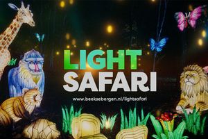 Light Safari Beekse Bergen tickets (2p.)