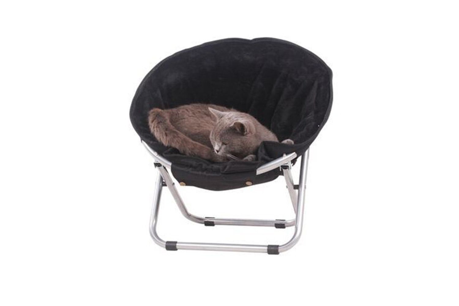 valise trolley chien chat animal domestique - Valise trolley pour chien ou  chat, VavaBid