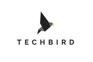 Draadloze oordopjes met oplaadcase van TechBird