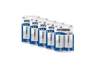 10 super Alkaline D-batterijen van Hyundai Batteries