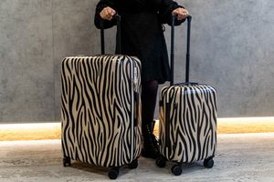 Kofferset met zebraprint (2-delig)