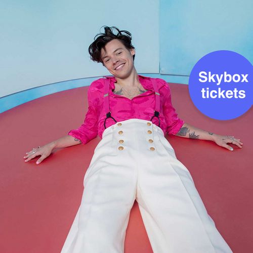 Harry Styles: skybox-tickets + diner (2 p.)