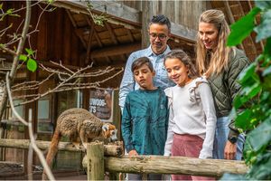 2 Tickets für den Affenpark Apenheul in den Niederlanden