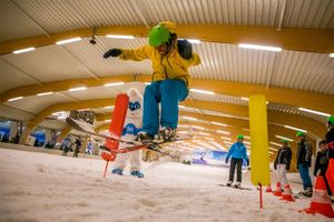 Hele dag skiën of snowboarden bij Ice Mountain (2p.)