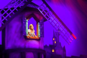 Rapunzel de Musical in Den Haag + meet & greet (2 p.)