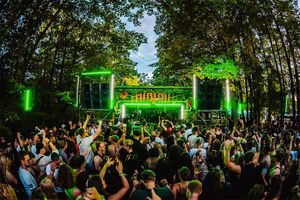 Nibirii Festival 2024: 3 Tages Tickets (2 p.)