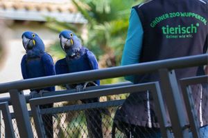 Tickets für den Grünen Zoo in Wuppertal (2 Personen)