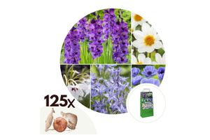 Mélange de bulbes à fleurs bleues/blanches (125 bulbes)