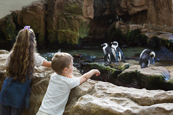 twee kinderen bij de penguins in de dierentuin