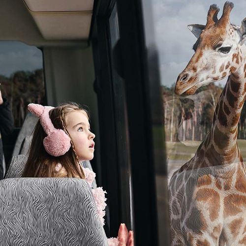 Safaripark Beekse Bergen tickets