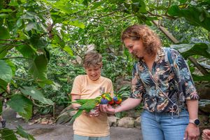 WILDLANDS Adventure Zoo Emmen voor 2 personen