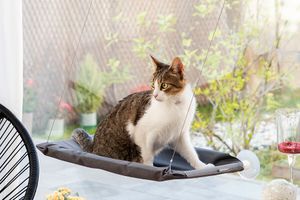Hangmat voor katten (grijs)