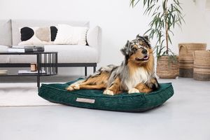 Coussin pour chien en velours côtelé (vert foncé)